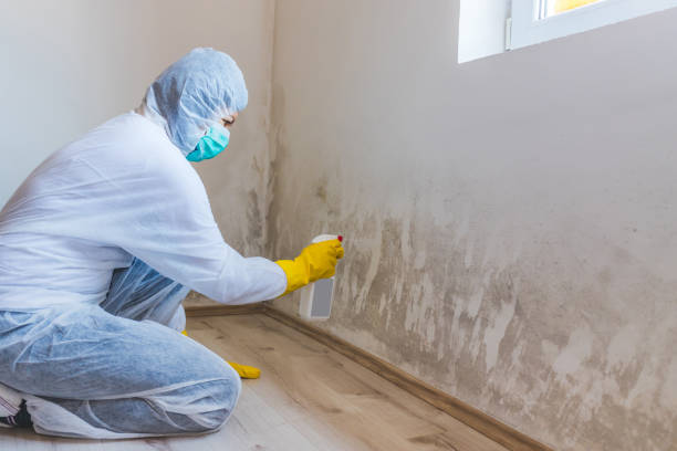 Bathroom Mold Removal assessment in North Brunswick bathroom