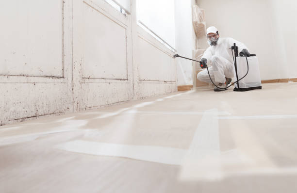 Black mold remediation team in North Brunswick