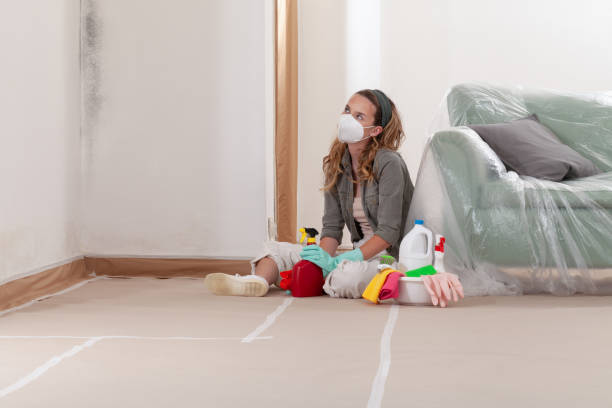 Mold Removal service in North Brunswick