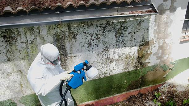 Mold Remediation service in North Brunswick, North Brunswick, NJ